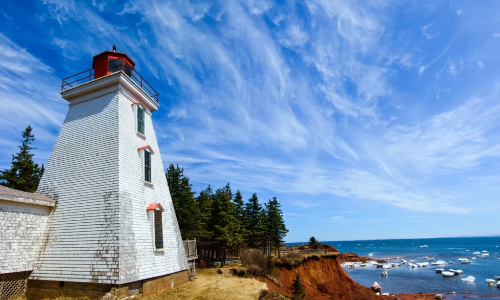 Pei whale watching - The Best Spots for Whale Watching on Prince Edward Island 3 Pei whale watching - The Best Spots for Whale Watching on Prince Edward Island
