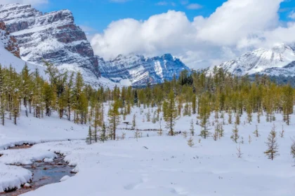 Mark Arendz Provincial Ski Park: A Symbol of Perseverance and Inclusion in PEI 3 Mark Arendz Provincial Ski Park