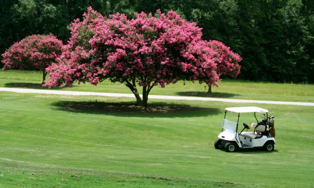 Planning the Perfect Myrtle Beach Golf Vacation Package 2 Myrtle Beach Golf Vacation