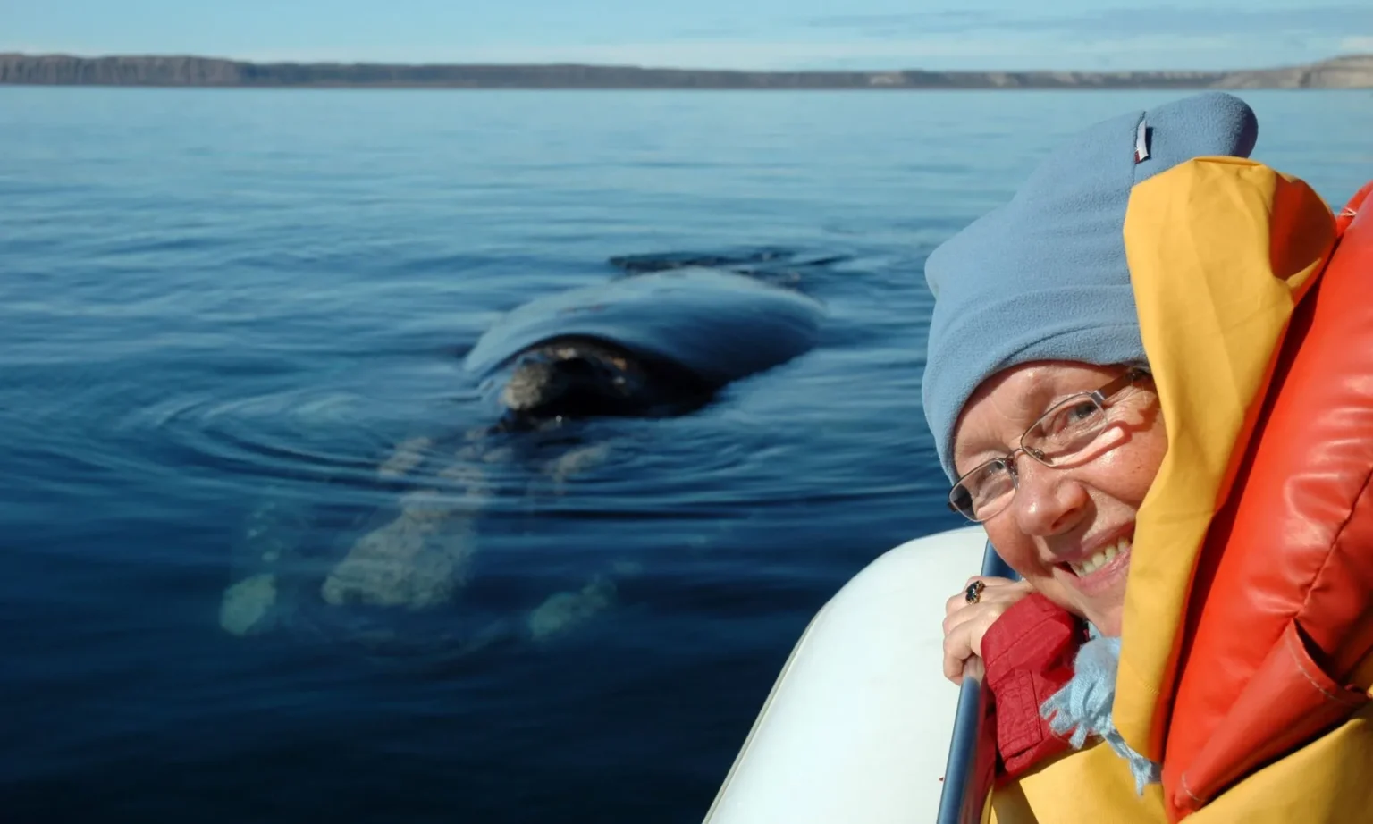 Pei whale watching - The Best Spots for Whale Watching on Prince Edward Island 1 Pei whale watching