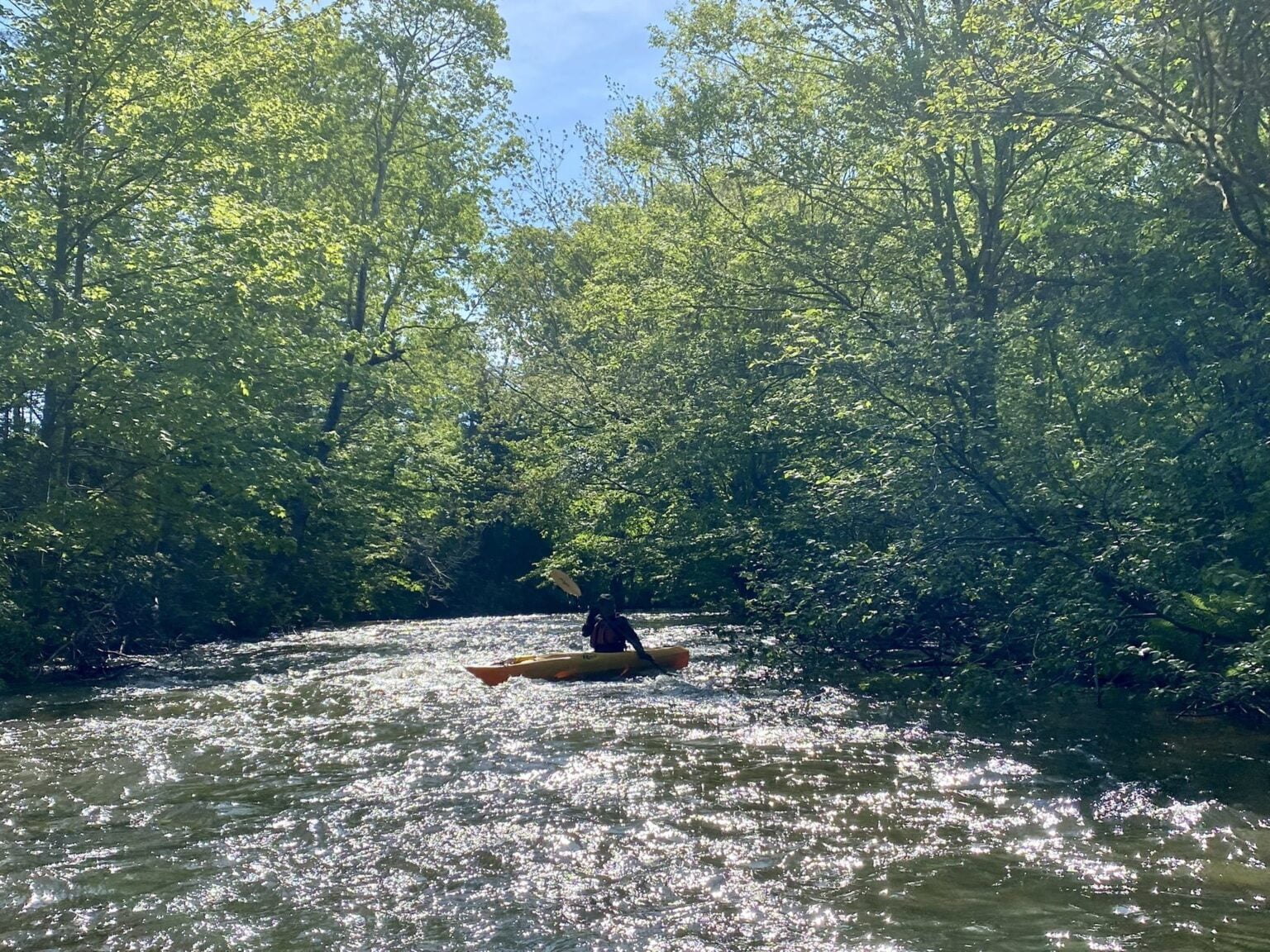 Paddling the Tranquil Dunk River Route on Prince Edward Island
