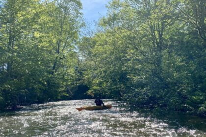 Paddling the Tranquil Dunk River Route on Prince Edward Island: A Nature Lover's Paradise 9 Paddling the Tranquil Dunk River Route on Prince Edward Island