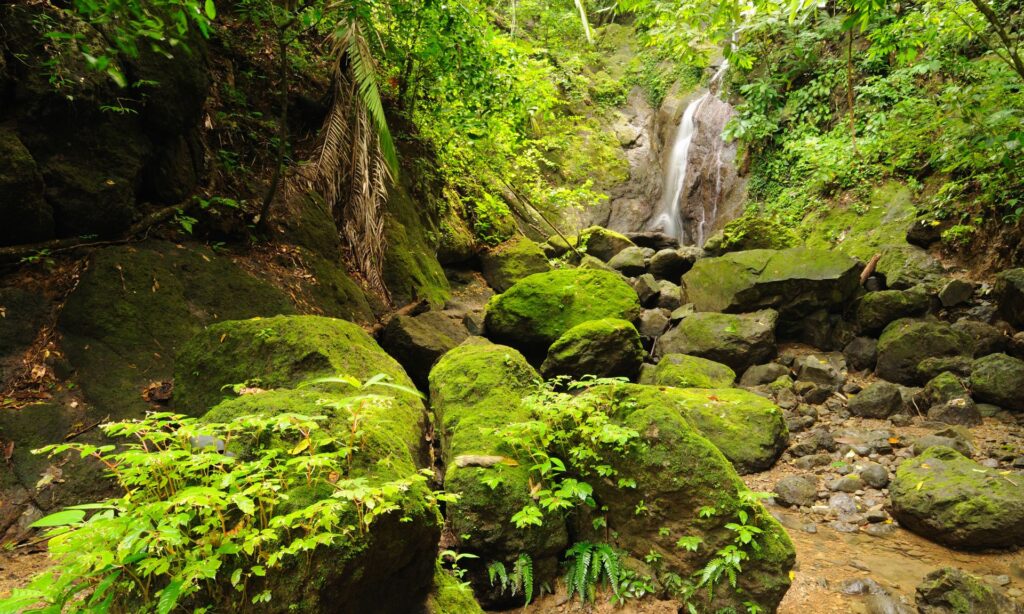Panama Top 10 Adventures - 10 Best Things to Do in Panama 6 Panama Top 10 Adventures - 10 Best Things to Do in Panama