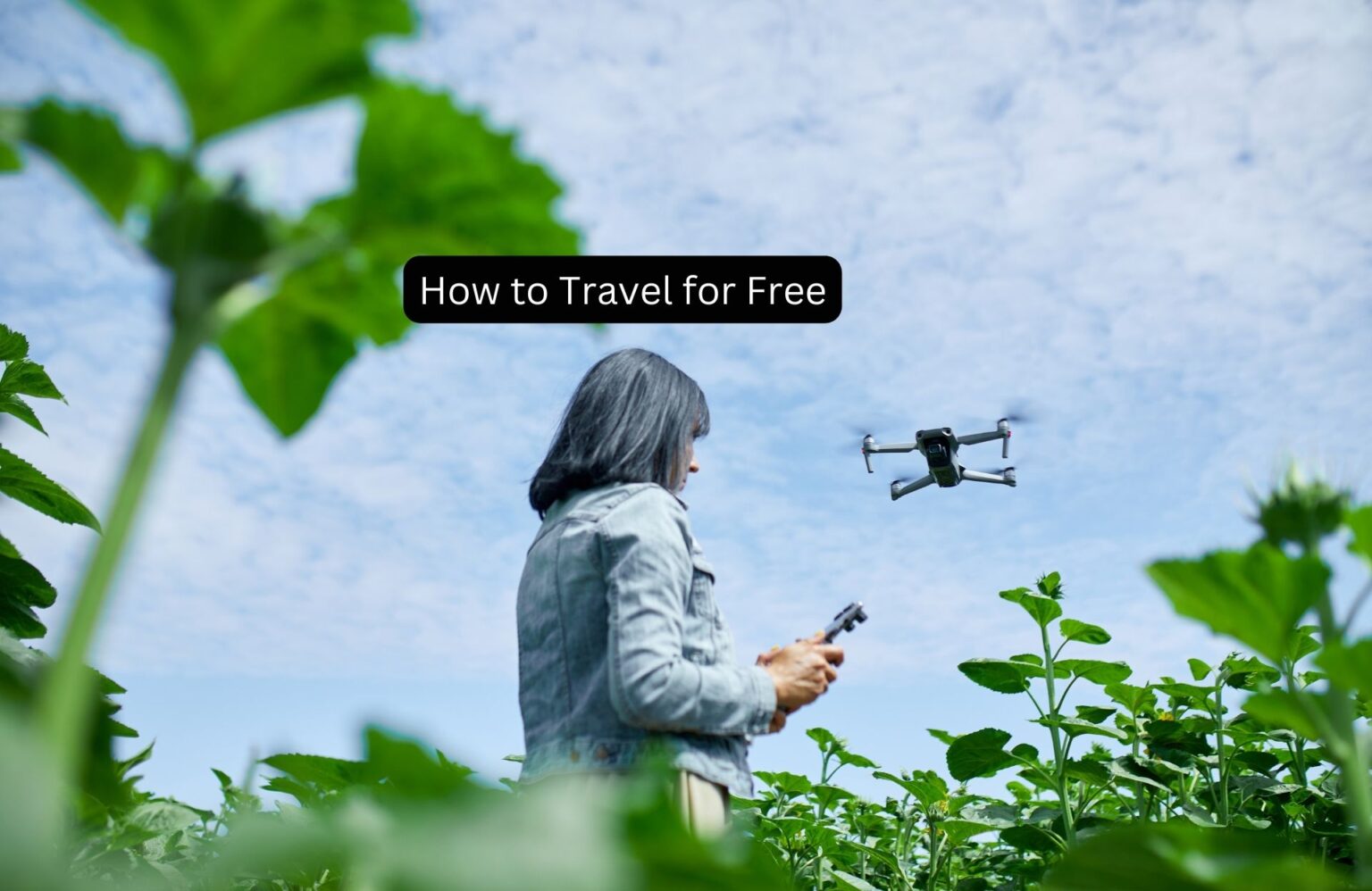 How to Travel for Free