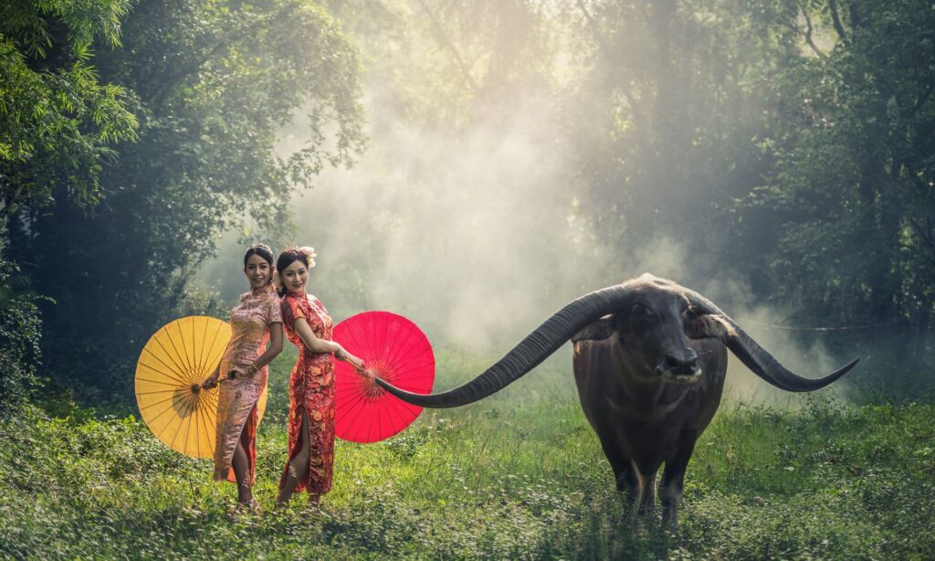 Top 12 Vegan-Friendly Travel Destinations 11 Is Vietnam Safe for First-Time Visitors