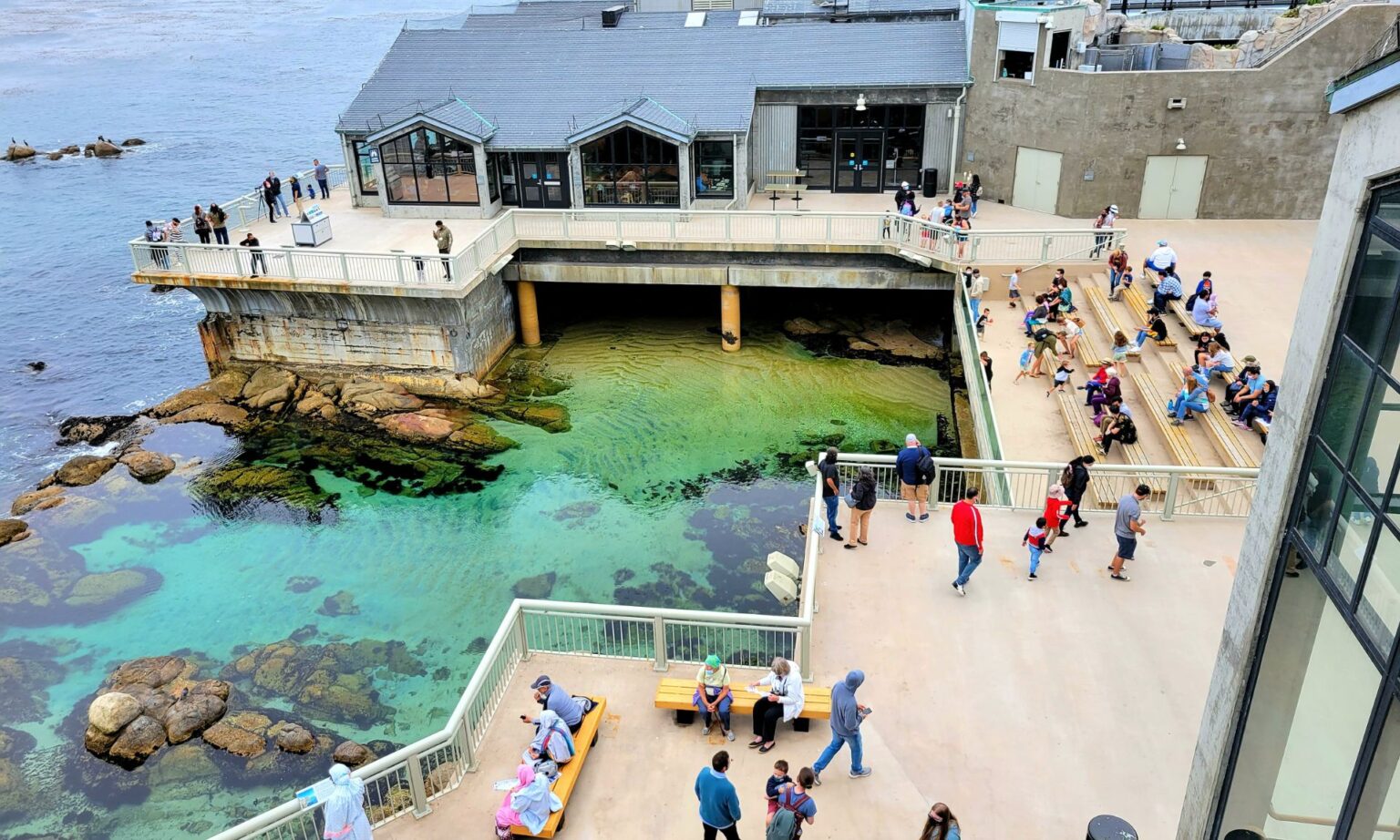 Best Affordable Whale Watching Tours in Monterey 1 Whale Watching Tours in Monterey