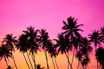 Best Beach Cabins & Vacation Homes on Orcas Island