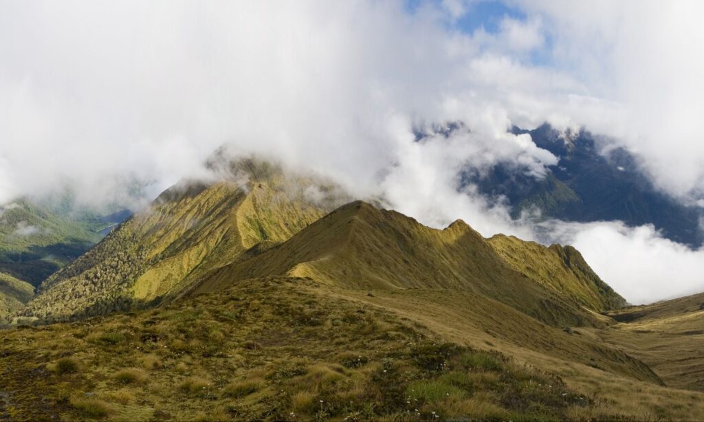 A Complete Guide to New Zealand’s Great Walks 4 Guide to New Zealand’s Great Walks