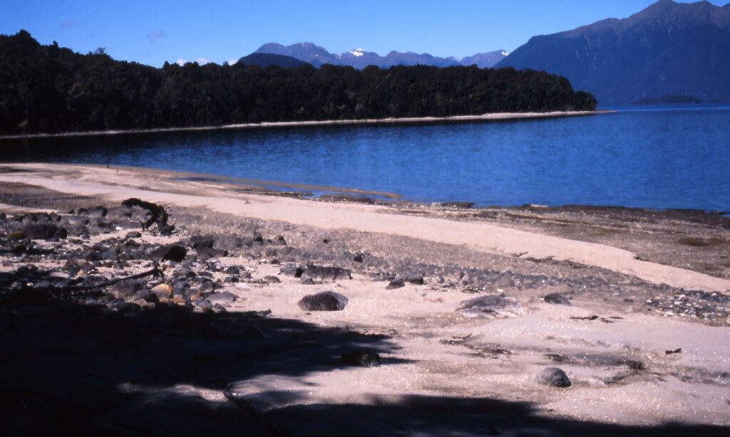 A Complete Guide to New Zealand’s Great Walks 2 Guide to New Zealand’s Great Walks