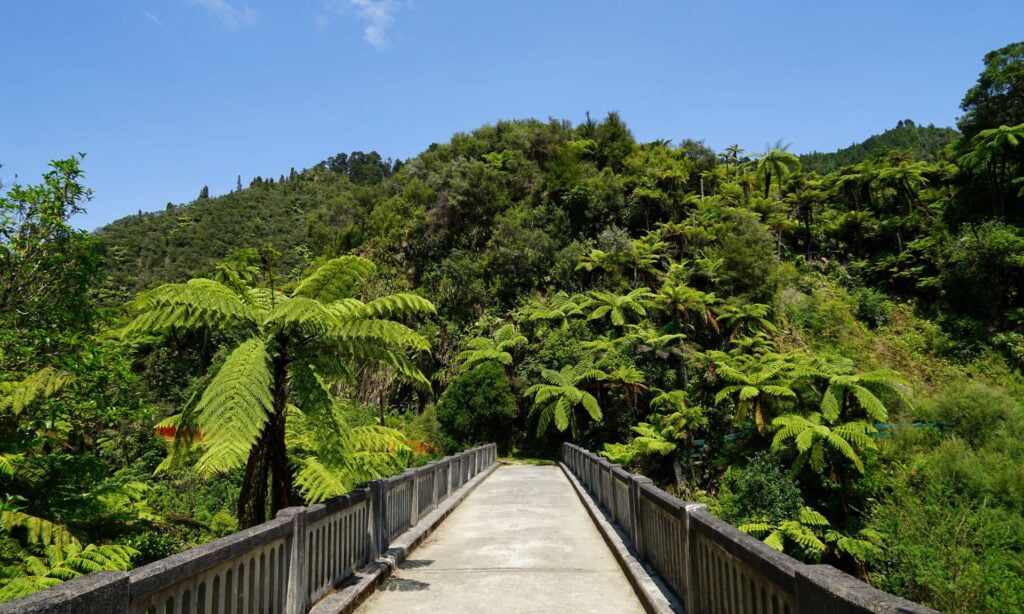 A Complete Guide to New Zealand’s Great Walks 8 Guide to New Zealand’s Great Walks