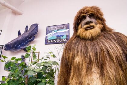 5 Weird Museums to Visit in the US 5 5 Weird Museums to Visit in the US