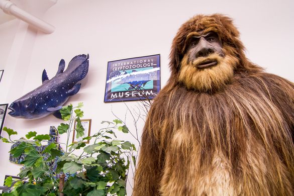 5 Weird Museums to Visit in the US