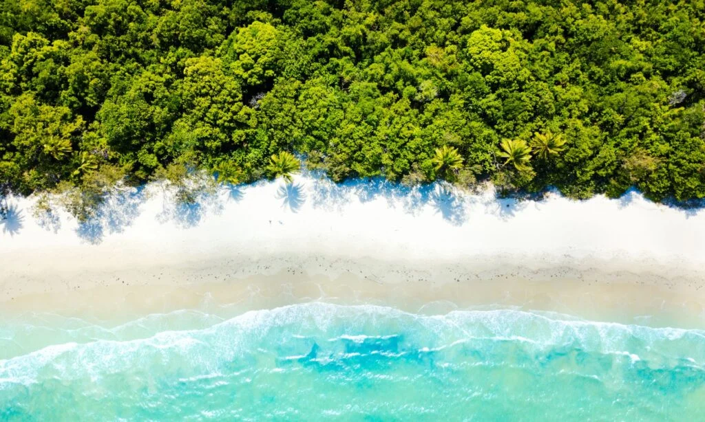 10 Amazing Things To Do In Tropical North Queensland 6 10 Amazing Things To Do In Tropical North Queensland