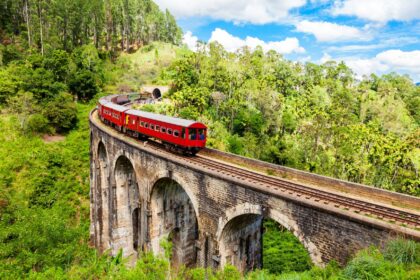 Top 7 Family Friendly Destinations in Sri Lanka 