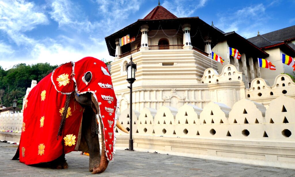 Top 7 Family Friendly Destinations in Sri Lanka 3 Top 7 Family Friendly Destinations in Sri Lanka