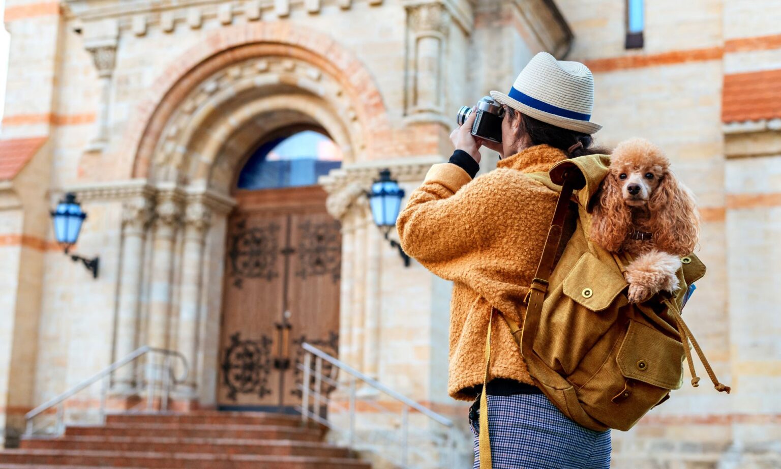 Traveling with Large Dogs