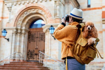 Tips for Traveling with Large Dogs: A Comprehensive Guide 8 Traveling with Large Dogs