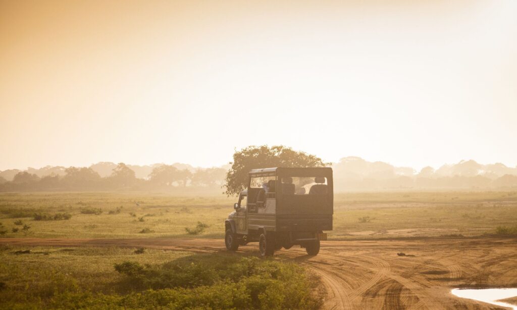 Top 7 Family Friendly Destinations in Sri Lanka 6 Top 7 Family Friendly Destinations in Sri Lanka
