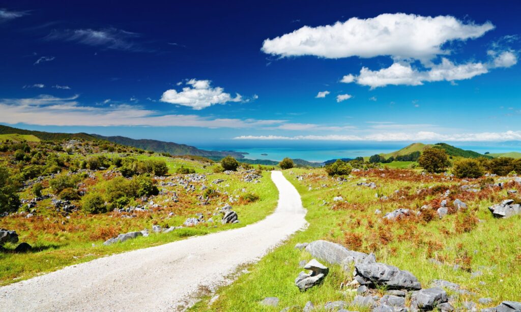Top 5 Best Places to Visit in New Zealand for a Memorable Stay 4 Best Places to Visit in New Zealand