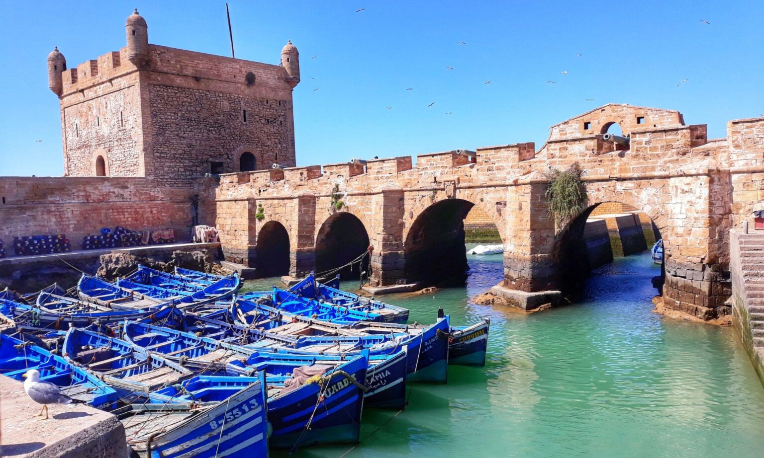 One Day Itinerary for Essaouira, Morocco 1 Essaouira, Morocco