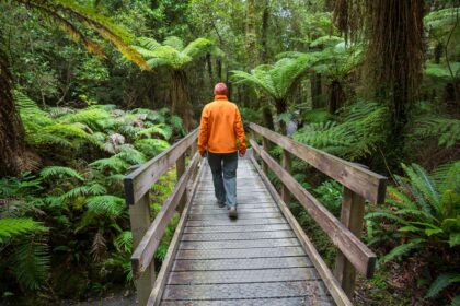 New Zealand on a Budget