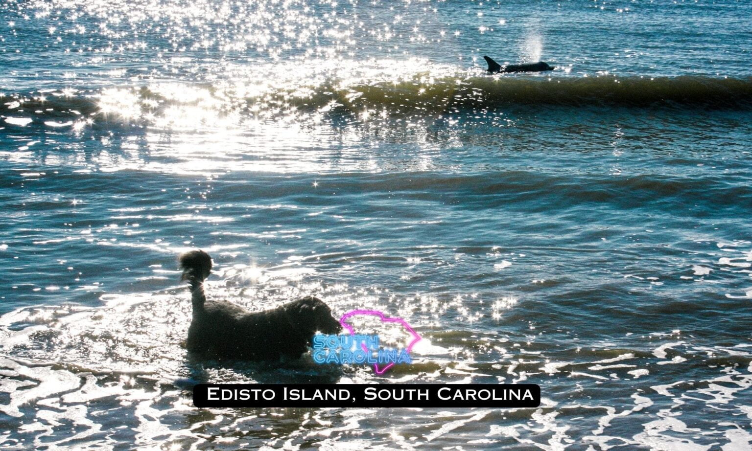 Budget Travel Guide: Planning the Perfect Trip to Edisto Island, South Carolina 1 Trip to Edisto Island