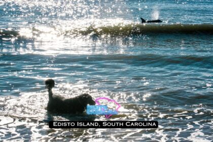 Trip to Edisto Island