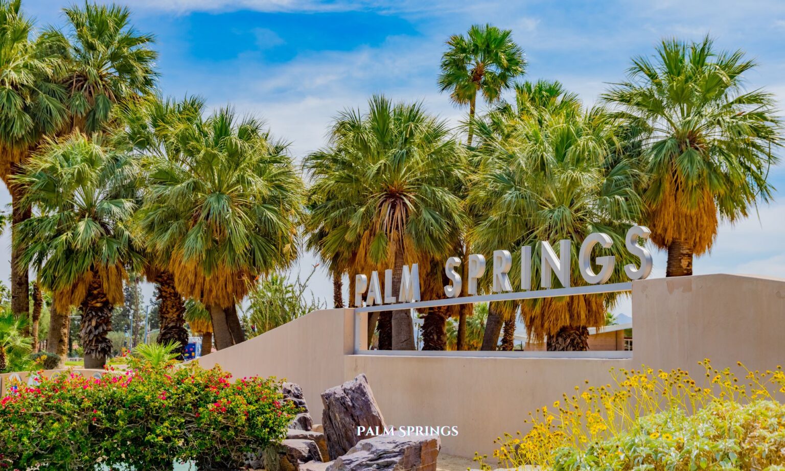 How to Visit Palm Springs on a Budget 1 How to Visit Palm Springs on a Budget