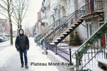 Top 5 Montréal Neighborhoods