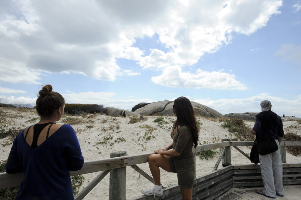 5 Unforgettable Marine Wildlife Experiences in South Africa 4 5 Unforgettable Marine Wildlife Experiences in South Africa