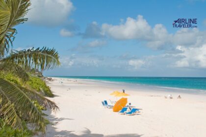 Harbour Island, Bahamas: Everything You Need to Know 16 Harbour Island, Bahamas