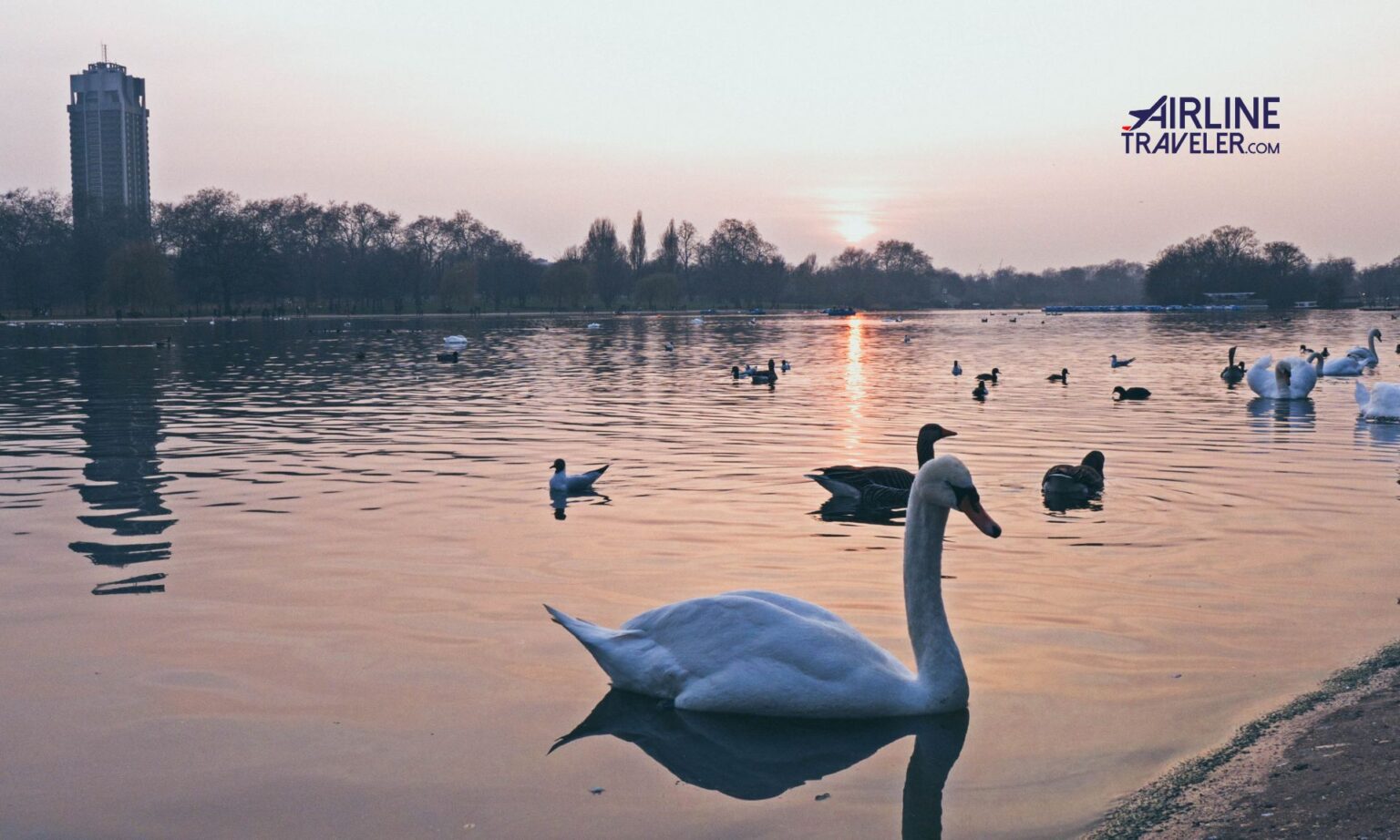 Hyde Park Guide: What to Do in Chicago’s Historic Neighborhood 1 Hyde Park Guide