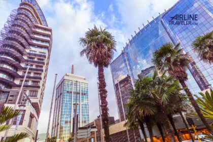 Johannesburg Travel Guide: Everything You Need to Know 7 Johannesburg Travel Guide
