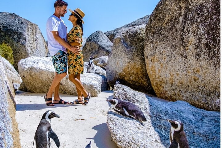 Popular South African Marine Life and Where to See Them 5 South African Marine Life