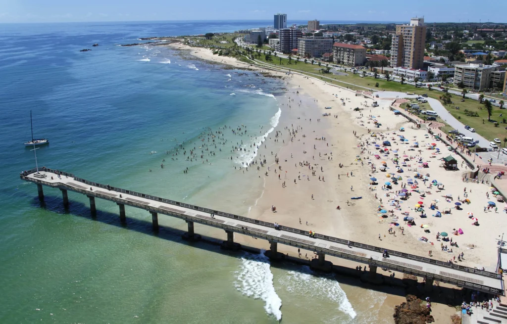 Popular South African Marine Life and Where to See Them 6 South African Marine Life