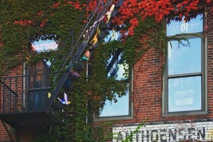 Affordable Restaurants in Portland