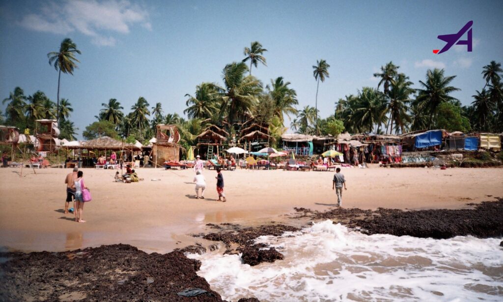 Top 5 Beaches in Goa You Must Visit 4 Beaches in Goa