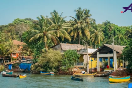 Best Time to Visit Goa: Seasons, Weather & More 8 Best Time to Visit Goa