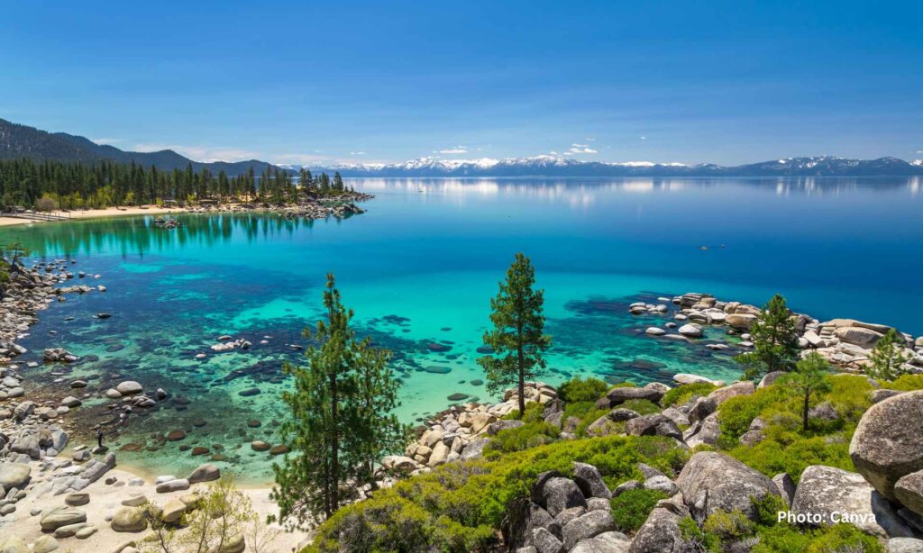Pet-Friendly Holiday Destinations in the USA 7 Pet-Friendly Holiday Destinations in the USA