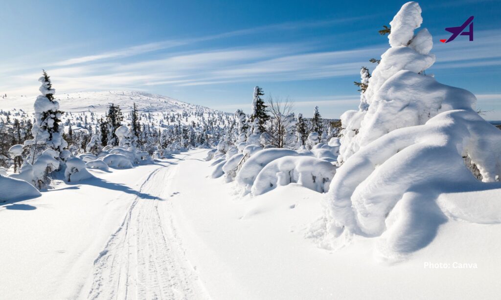 Magical Holiday Destinations: Top Winter Getaways for an Epic Holiday 6 Magical Holiday Destinations: Top Winter Getaways for an Epic Holiday