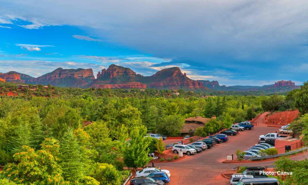 Pet-Friendly Holiday Destinations in the USA 9 Pet-Friendly Holiday Destinations in the USA