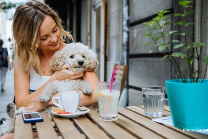 pet-friendly holiday destinations