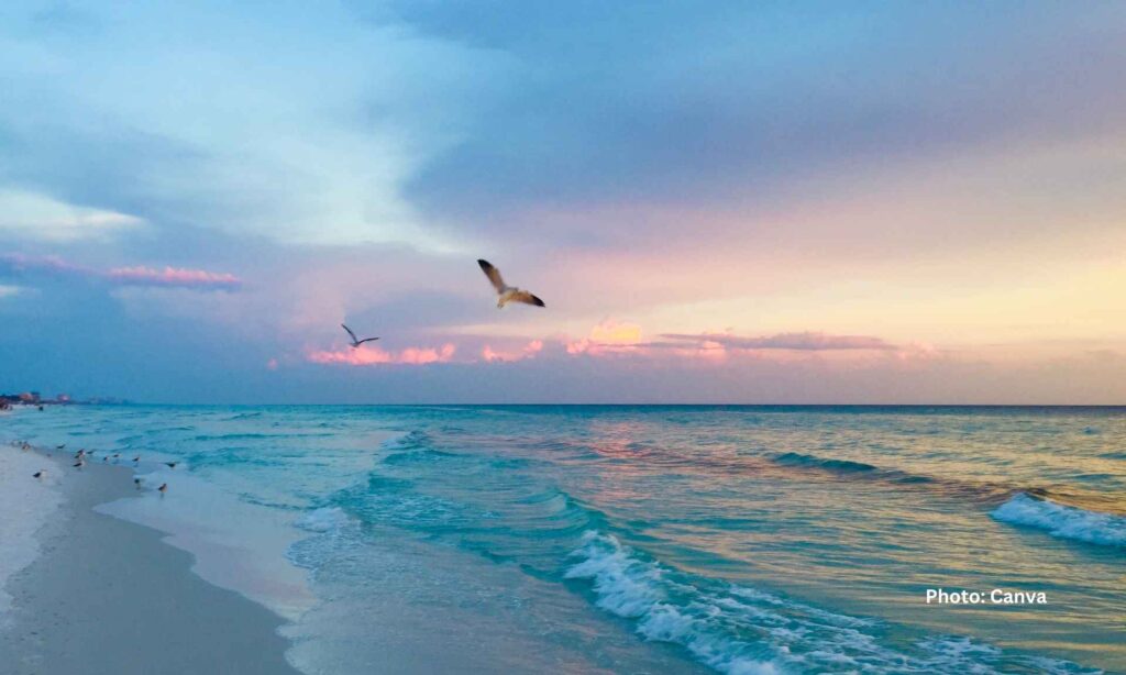 10 Destinations To Start Your Family Beach Trip In US 2025 4 10 Destinations To Start Your Family Beach Trip In US 2025