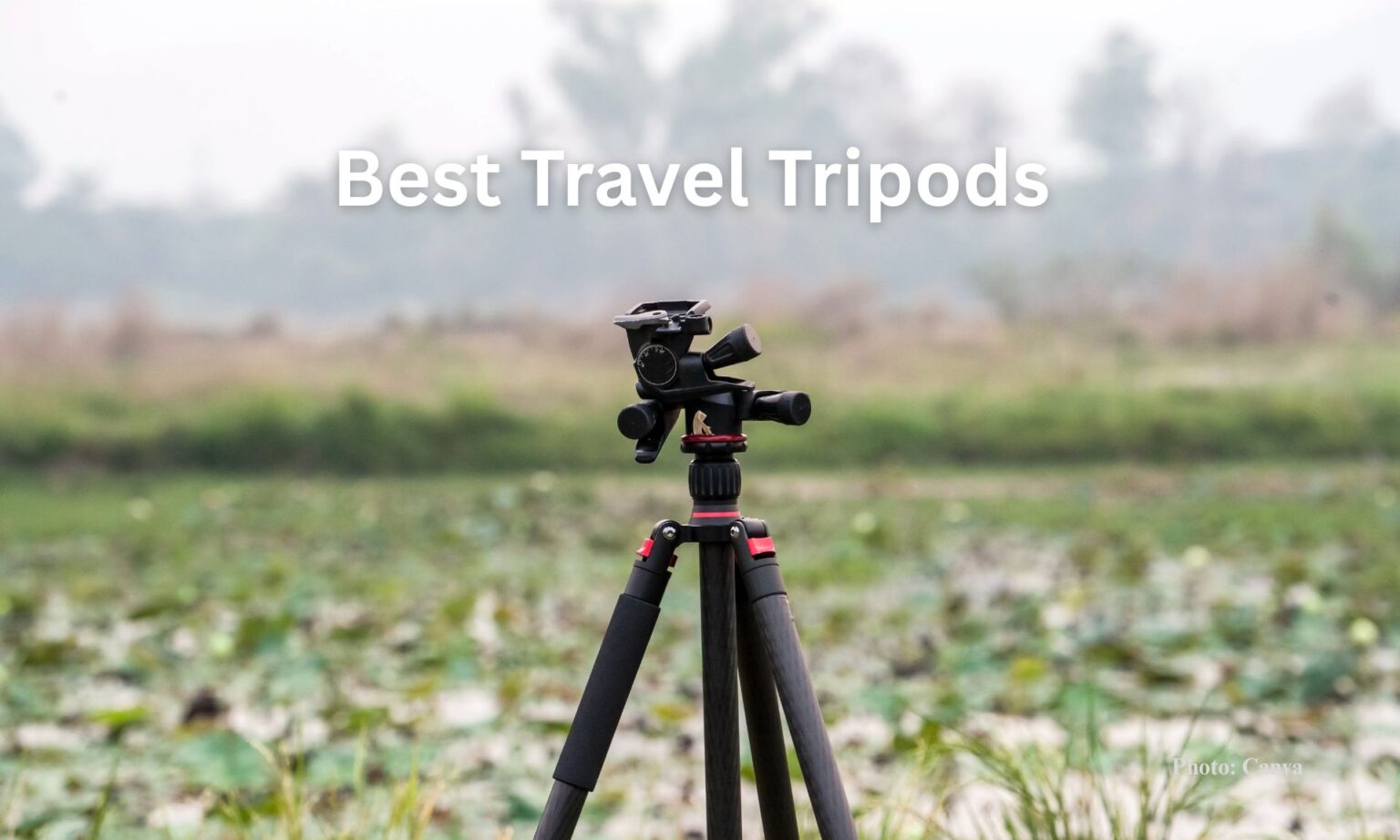 The Best Travel Tripods (A Detailed Buying Guide) 1 Best Travel Tripods