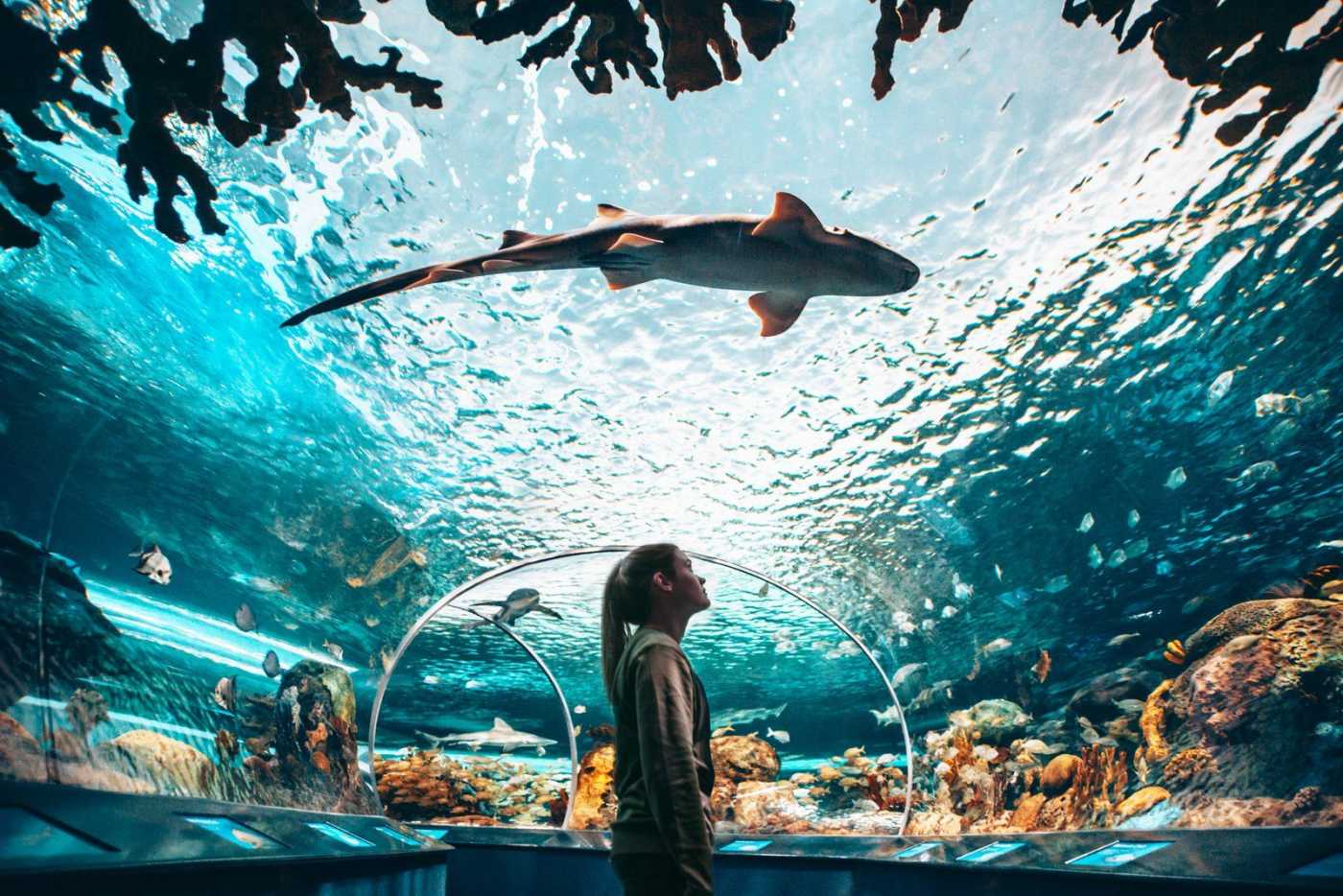10 Kid-Friendly Travel Destinations (And a Few That Aren’t!) 1 Kid Friendly Travel Destinations