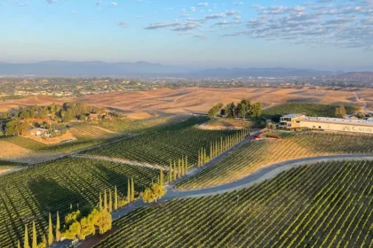America’s Secret Wine Regions You’ve Never Heard Of