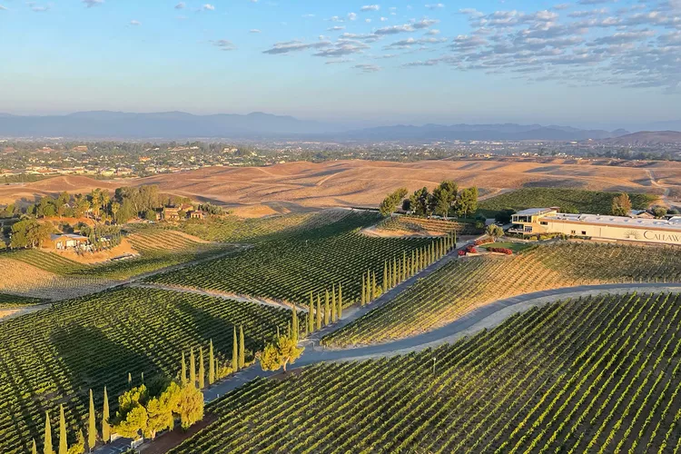 America’s Secret Wine Regions You’ve Never Heard Of 9 America’s Secret Wine Regions You’ve Never Heard Of