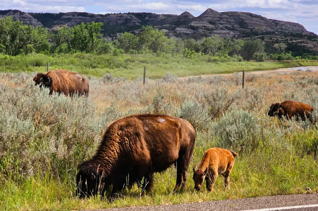 Underrated U.S. National Parks That Beat the Crowds — And Deserve Your Bucket List 12 Underrated U.S. National Parks That Beat the Crowds — And Deserve Your Bucket List