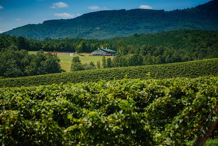 America’s Secret Wine Regions You’ve Never Heard Of 7 America’s Secret Wine Regions You’ve Never Heard Of