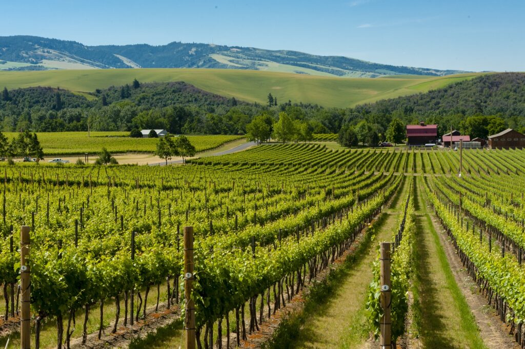 America’s Secret Wine Regions You’ve Never Heard Of 2 America’s Secret Wine Regions You’ve Never Heard Of